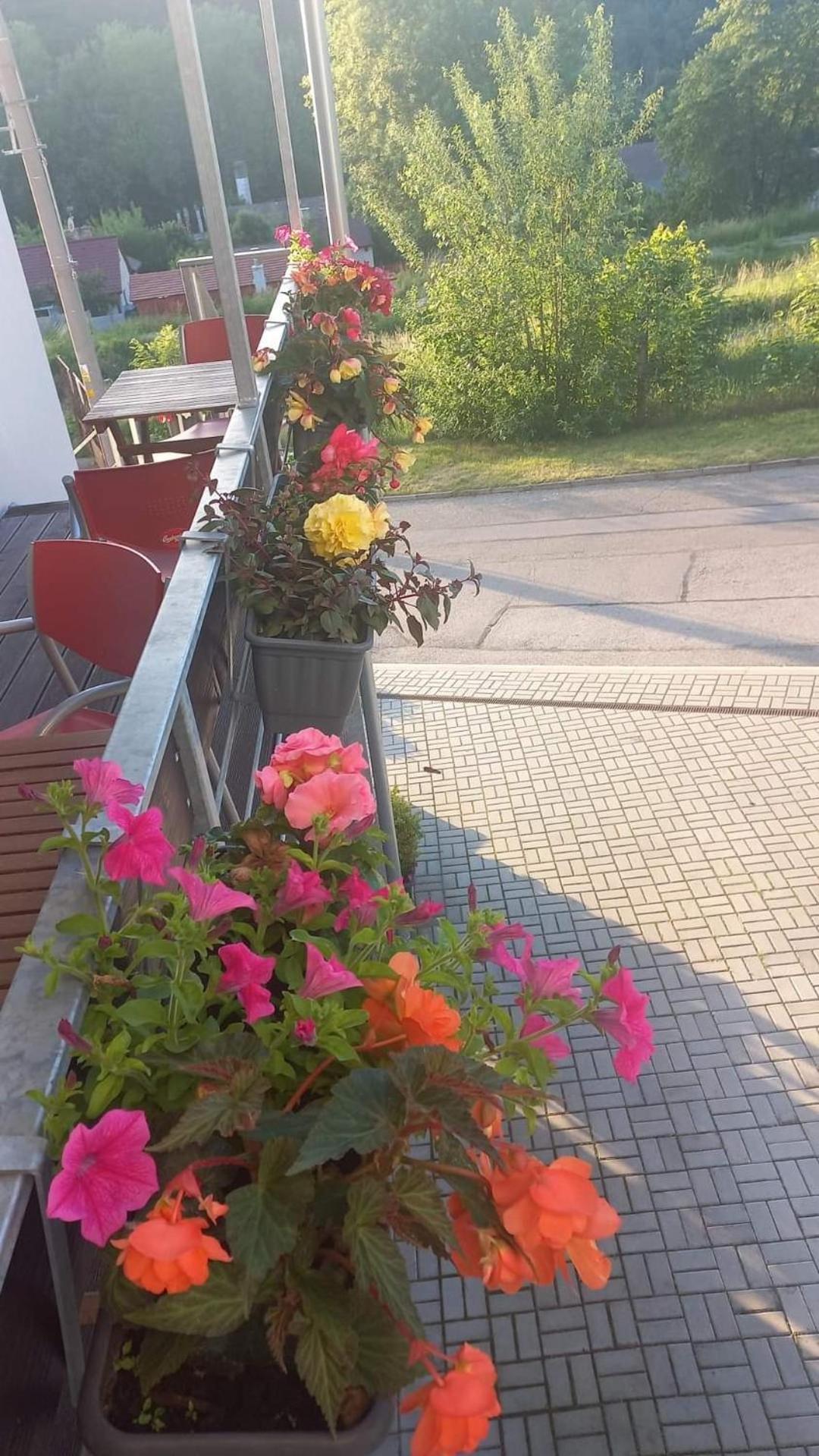 Pension Salma Cesky Krumlov Exterior photo